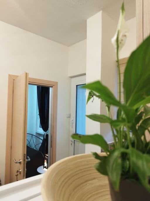 Esteticaapartments Rhodes City Luaran gambar